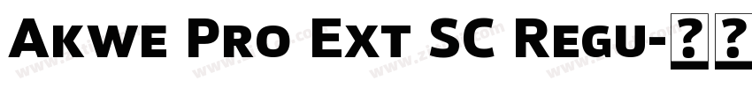 Akwe Pro Ext SC Regu字体转换